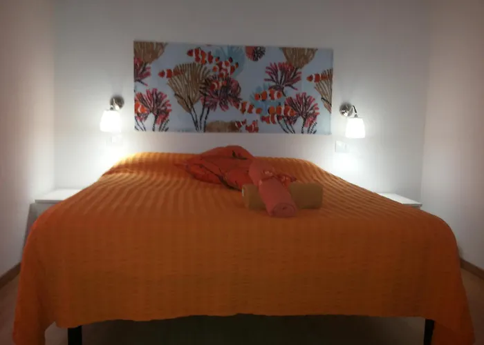 I Colori Di Mag