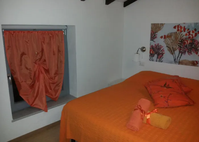 I Colori Di Mag